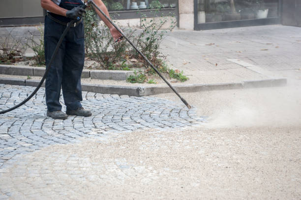 Animal Enclosure Cleaning in Pekin, IL